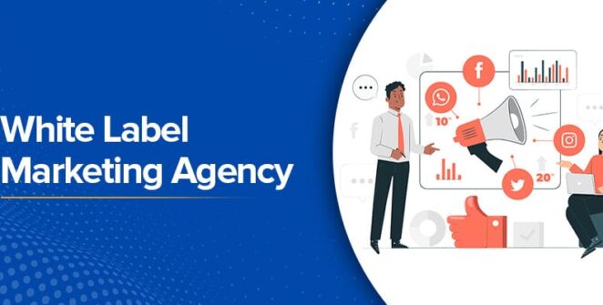Scaling Your Agency with Expert White Label SEO Services