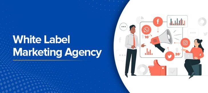 Scaling Your Agency with Expert White Label SEO Services